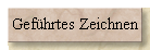 GefÃƒÂ¼hrtes Zeichnen